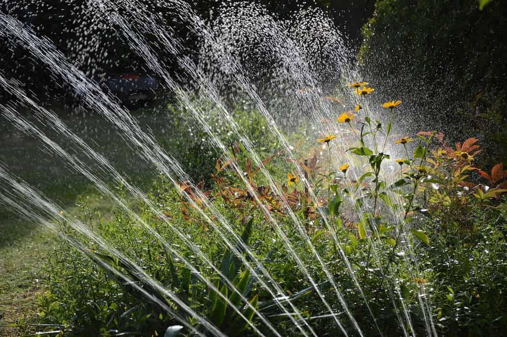 Irrigation Services image