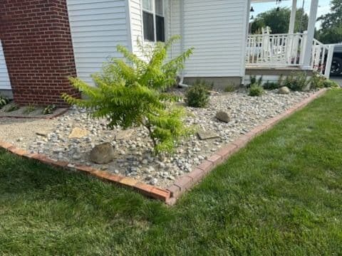 Landscaped yard featuring a small tree, rocks, and decorative gravel pathway.